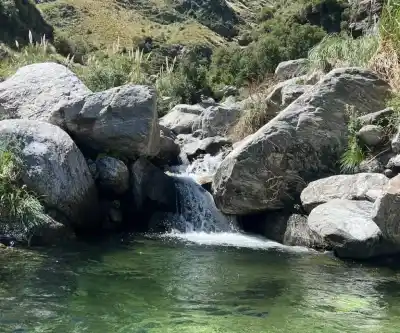 El dato que revela cuánto había crecido Merlo en 2012: 15,5 millones de litros por mes