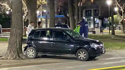 Se estampó contra un árbol en Avenida Argentina y el test de alcoholemia dejó a todos helados