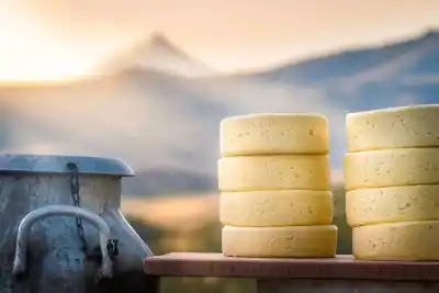 Junín de los Andes estrena la Fiesta Provincial del Queso Cordillerano: todo lo que hay que saber