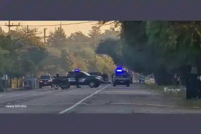 Chocó contra un animal en la ruta y el impacto le cambió el viaje