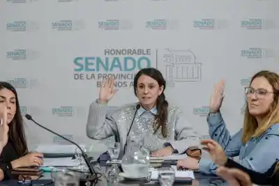 Senado bonaerense avanza para que la violencia digital entre en la ley de violencia familiar