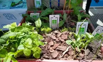 Premios Argentina Orgánica 2026: buscan a los mejores productores de Catamarca