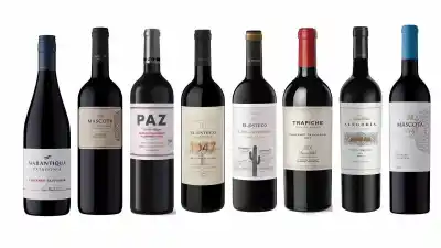 Ocho Cabernet de cuatro provincias: el mapa de una cepa que vuelve a brillar