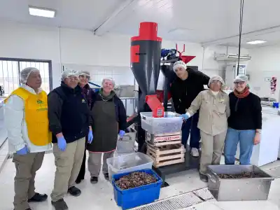 El primer servicio de pelado de nueces que ya tiene clientes en San Luis