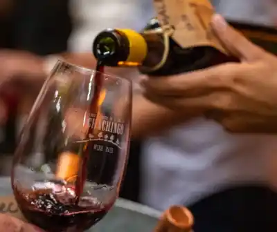 Chachingo Wine Fair: el fenómeno que ya convocó a más de 10.000 personas y llega a Bariloche