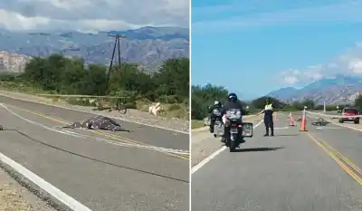 Impactante siniestro en la Ruta 40: una mujer muere atropellada y un joven queda detenido