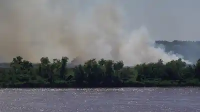 El fuego vuelve a las islas: qué reveló el mapa satelital en el Delta