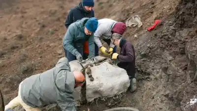 El hallazgo que cambió la historia de un museo patagónico
