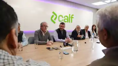 Invierten 3 millones de dólares para llevar fibra óptica a Vaca Muerta