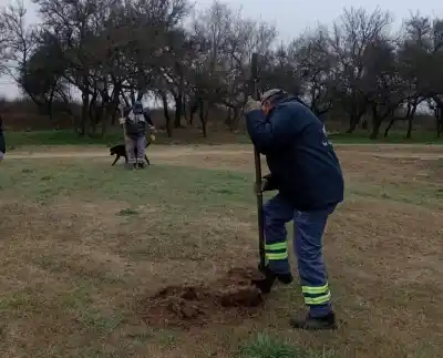 Un plan para recuperar los diques: así avanza la forestación en el embalse Vulpiani