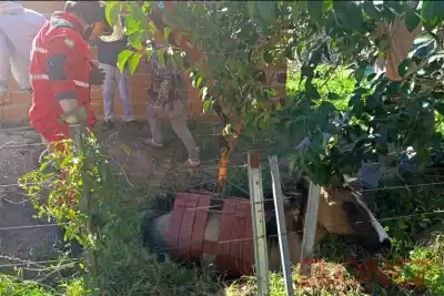 El increíble operativo para sacar a un caballo que cayó en un pozo