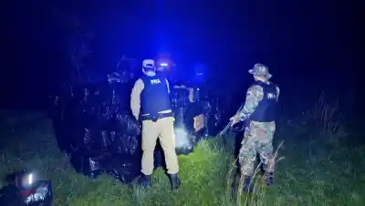 El ruido de un motor delató un cargamento millonario oculto entre la vegetación en Posadas