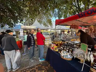 Vuelve el Circuito de Ahorro Brown: qué días y dónde encontrar frutas, verduras y más a buen precio