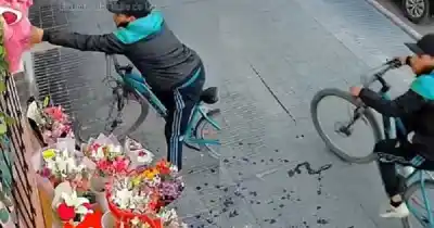El insólito robo en Tunuyán que quedó filmado: se llevó un oso de peluche y no pudieron atraparlo