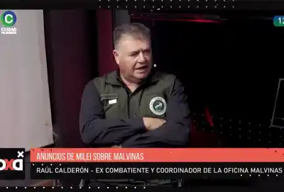 El durísimo análisis de un excombatiente sobre los anuncios de Milei por Malvinas: "¿Nos preparan para otra guerra?"