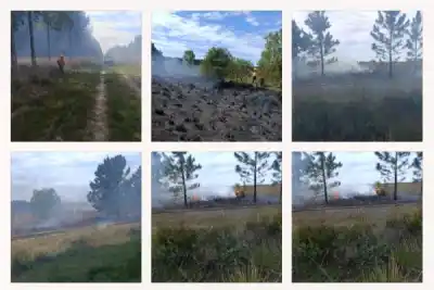 Incendio en Corrientes: 54 hectáreas arrasadas y un dato que preocupa