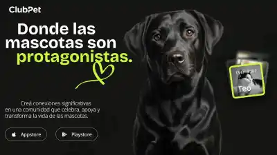 Una app para mascotas llega a Neuquén con una jornada de adopción que promete