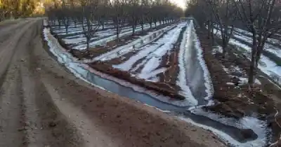 Heladas bajo cero amenazan los cultivos de Mendoza este fin de semana