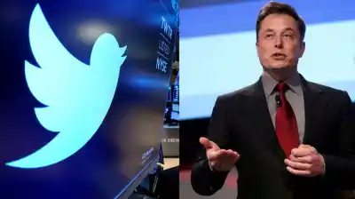 Musk se quedó con la marca Twitter, pero perdió otra batalla clave
