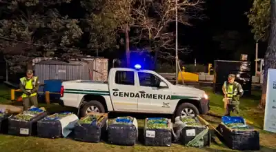 El cargamento camuflado que frenaron en un control de encomiendas en Salta