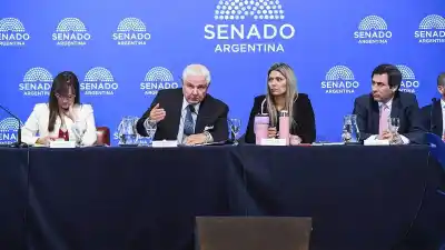 El proyecto que se les escapó: Bullrich corre a buscar a Caputo para salvar el Super RIGI en el Senado