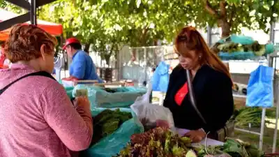 El mal clima obligó a suspender la Feria Agroproductiva en el Parque de Mayo