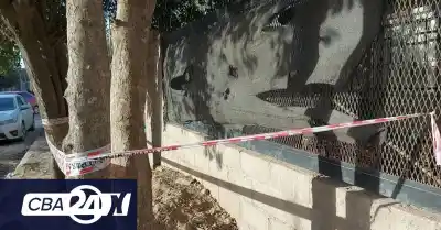 Atacada por dos dogos en Cabildo: la desesperación de los vecinos al ver la escena