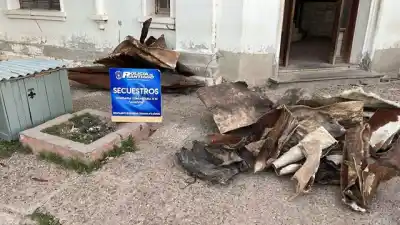 Cuatreros: el insólito hallazgo que delató a la banda en Santiago del Estero