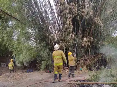 Incendio de cañas huecas en Monteros puso en riesgo a dos casas