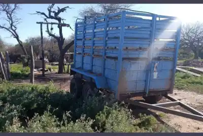 El encargado de un campo quedó detenido tras la desaparición de 23 novillos valuados en $50 millones
