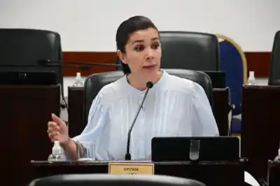 Dura crítica de una diputada chaqueña a Virginia Gallardo: "No es que cualquiera ocupe un cargo porque canta lindo"