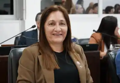 Maggio, a favor de suspender las PASO: "Que la política pague sus gastos"