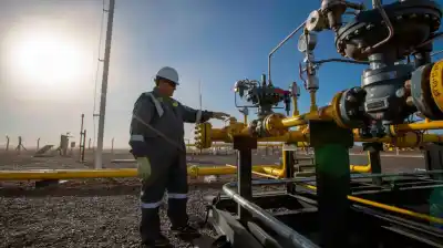 El plan de Vaca Muerta para sumar US$2000 millones por año con un negocio que mira a Asia