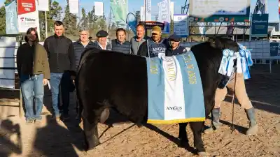 El Señuelo, de Faggiani, se quedó con las cucardas Angus de la Expo