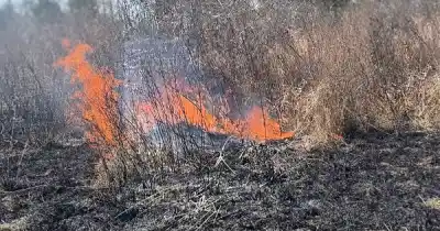 Vecinos habrían iniciado un incendio en Cerrillos: tuvieron que intervenir de urgencia