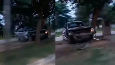 Un Peugeot 208 quedó destrozado tras un violento choque contra un árbol en la avenida Belgrano