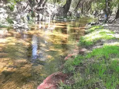 Vecinos se organizan para limpiar el arroyo Chicamtoltina