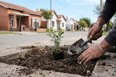 Plantan más de 250 árboles en Intendente Alvear y ya piensan en los próximos cientos