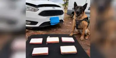 El hallazgo que destapó una red narco: 5,5 kilos de cocaína escondidos en un auto secuestrado