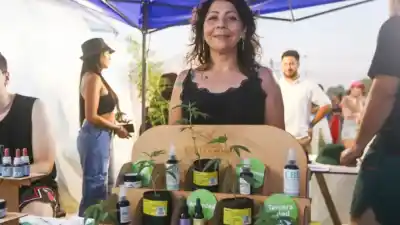Cultivan cannabis medicinal en Roca: cómo funciona la asociación que acompaña a 330 pacientes