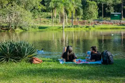 Misiones frena su gasto en la FIT y arma un fondo de $313 millones para los meses flojos