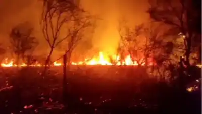 Terror en Sarmiento: un incendio arrasó un descampado y estuvo a punto de llegar a las casas