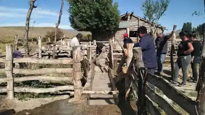 Cambian las reglas para la carne en Río Negro: qué pasa con el autoconsumo