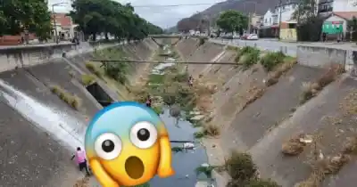 El desesperado pedido de una vecina por un perro atrapado en un canal de Salta
