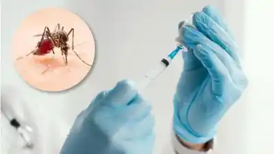 Amplían la vacunación contra el dengue en Chaco: ahora desde los 4 años