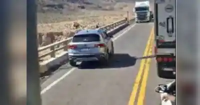 El momento en que un conductor argentino casi provoca una tragedia en Ruta 7