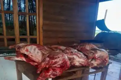 Le robaron y carnearon las ovejas: los ladrones eran sus propios sobrinos