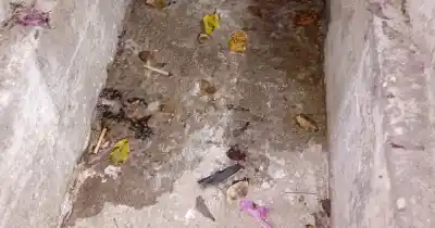 El insoportable olor que invade la Rivadavia: denuncian un nuevo desborde cloacal