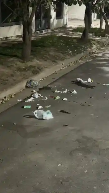 Juntan la basura de la cuadra pero la dejan amontonada en un sector