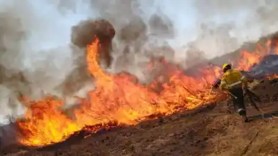 El alarmante dato detrás de los 144 incendios en Jujuy: casi la mitad ocurrió en un solo mes